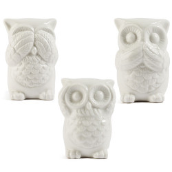 Les 3 chouettes de la sagesse
