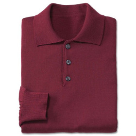 Pull col polo mérinos Pierre Clarence®, Tour de poitrine : M (96/100), Couleur : Bordeaux, par l’Homme Moderne.