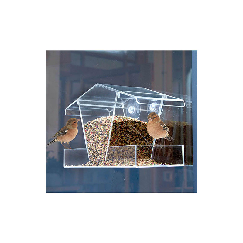 Mangeoire à oiseaux transparente