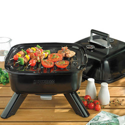 Barbecue nomade 2 en 1
