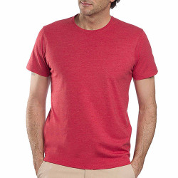 Tee-shirt coton Pierre Clarence