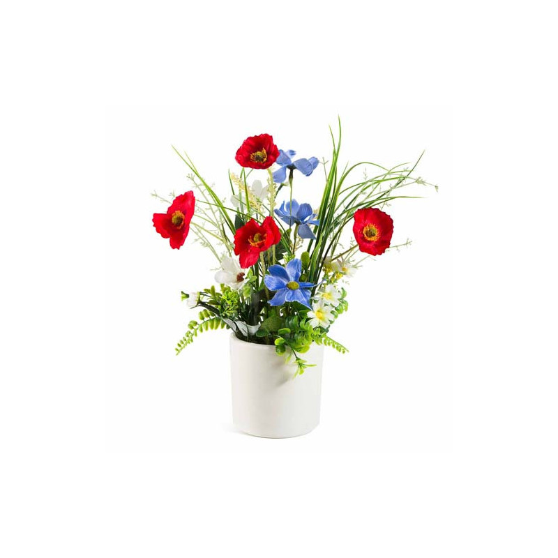 Les fleurs des champs en pot