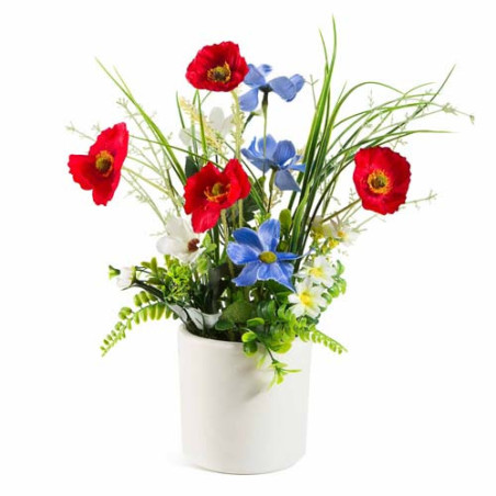 Les fleurs des champs en pot