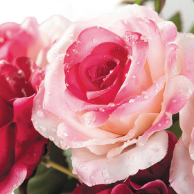 Bouquet de 18 roses "éternelles"