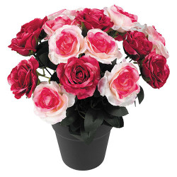 Bouquet de 18 roses "éternelles"