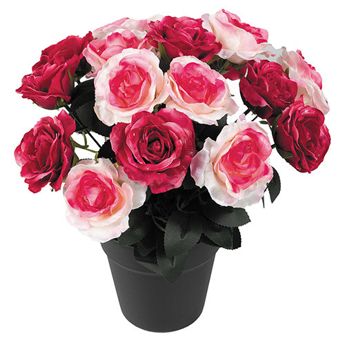 Bouquet de 18 roses "éternelles"