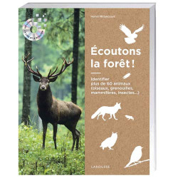 Écoutons la forêt