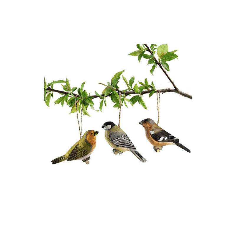 Trio d'oiseaux enchanteurs