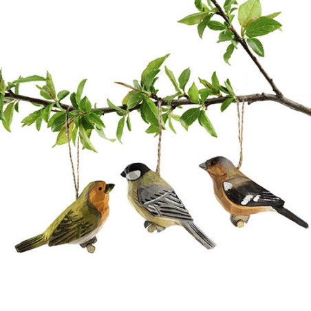 Trio d'oiseaux enchanteurs