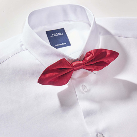 Les 2 Nœuds Papillons Soie