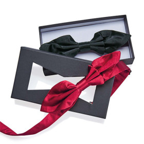 Les 2 Nœuds Papillons Soie, par l’Homme Moderne.