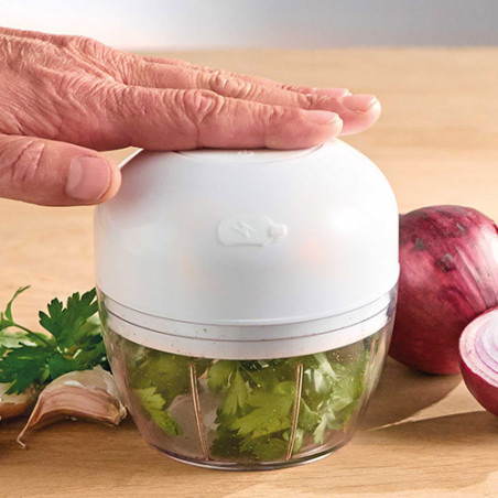 Mini-hachoir rechargeable