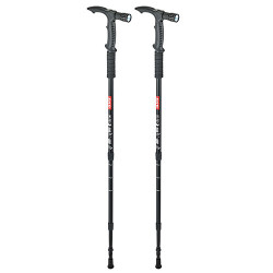 Bâton de marche - les 2