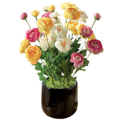 Les renoncules éternelles