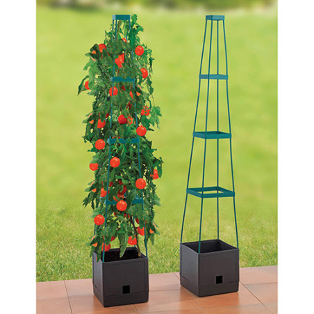 Tour pour plantes grimpantes