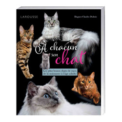 À chacun son chat
