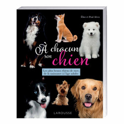 À chacun son chien