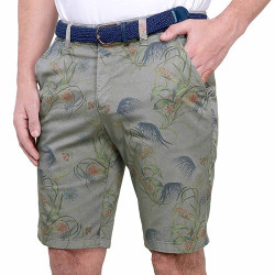 Bermuda Tropical-Coast