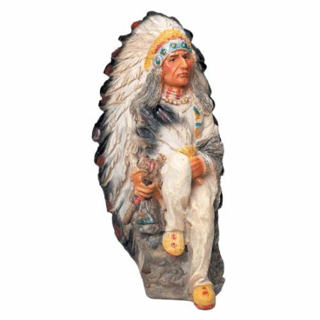 Le grand chef Indien