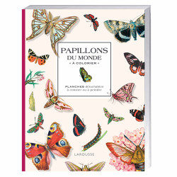 Papillons du monde à colorier