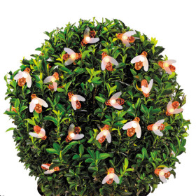 La guirlande solaire abeilles, par l’Homme Moderne.