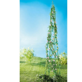 Obélisque floral, par l’Homme Moderne.