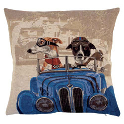 La housse voiture bleue