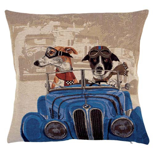 La housse voiture bleue