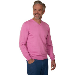 Pull coton Pierre Clarence