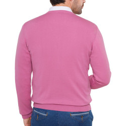 Pull coton Pierre Clarence