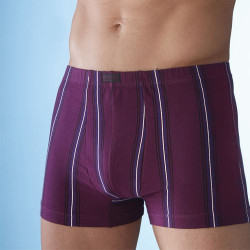 Boxers coton rayés - les 4