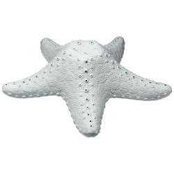 La lampe étoile de mer