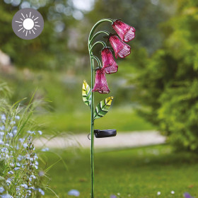 Fleur solaire
