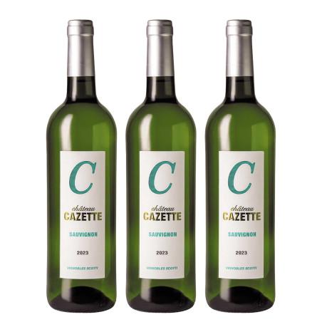 Assortiment de 12 bouteilles