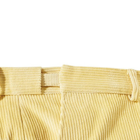 Pantalon Velours Confort Harryland