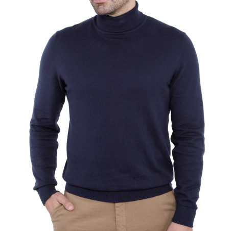 Pull col roulé Prestige Pierre Clarence