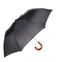 Parapluie Gentleman