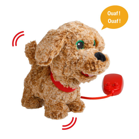 Noisette chien filoguidé