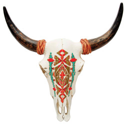 Trophée crâne de buffle