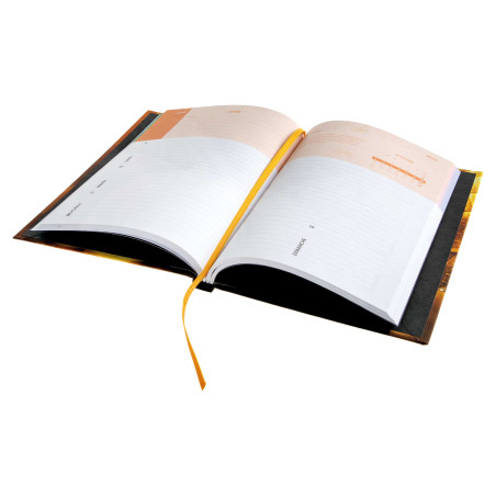 EN CADEAU : L'Agenda 2025