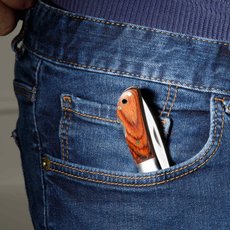 EN CADEAU : Couteau de poche pliable