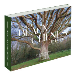 Les Plus Beaux Chênes de France