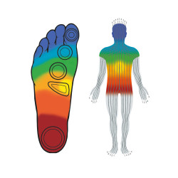 Mocassins Confort 5 Zones