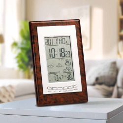 Station météo radiopilotée «loupe d’orme»