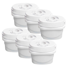 Carafe filtrante + 6 cartouches (2)