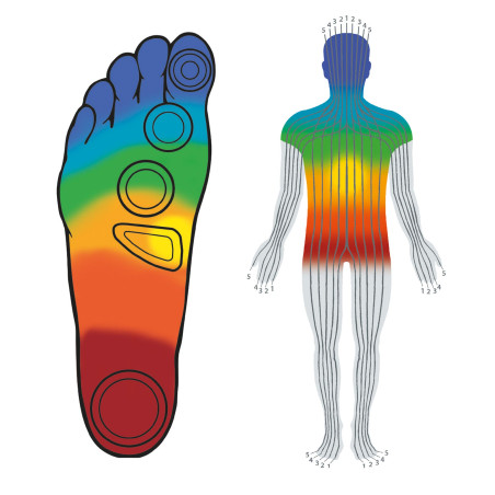 Sabots de jardin massants
