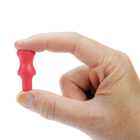 Master senior Montessori