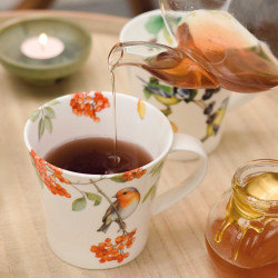 Mugs oiseaux - Les 4