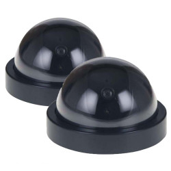 Caméras factices - les 2