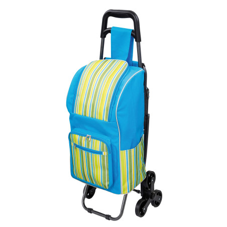 Chariot de courses isotherme rayé